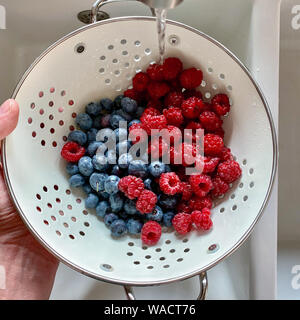 Men Hand washing raspberry and blueberry in a large metal bowl with water on the Kitchen Sink. Top view Stock Photo