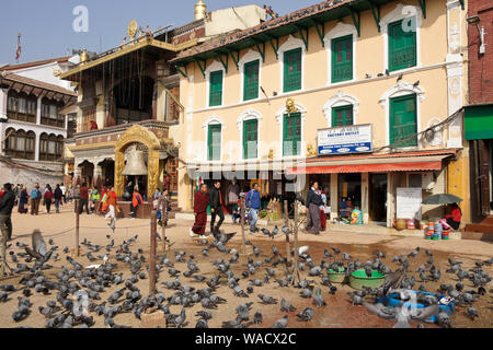 Pigeons feeding in front of shops and Tibetan Buddhist monastery at Boudhanath, Kathmandu Valley, Nepal Stock Photo