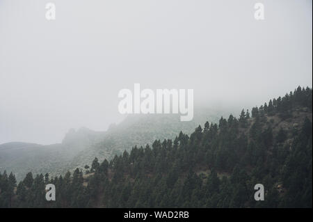 Fog rising from mountains covered with green trees in Tenerife Stock Photo