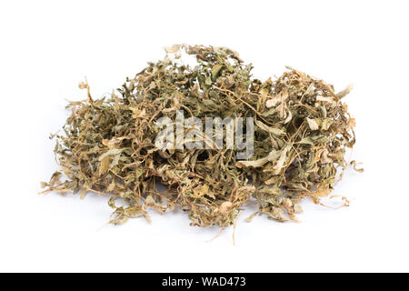 Dried Stevia rebaudiana leaves isolated on white background Stock Photo