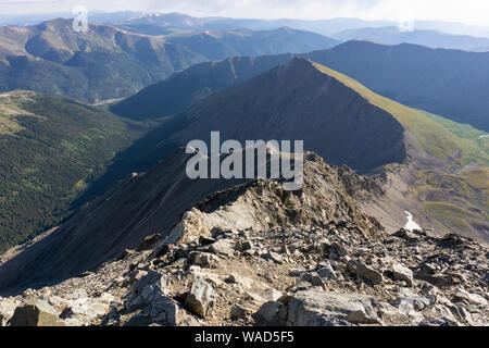 View up the Kelso ridge scramble from the summit of Torrey's Peak, Colorado Stock Photo