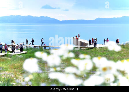 Lying in Bole city, Bortala Mongol Autonomous Prefecture, northwest China’s Xinjiang Uygur Autonomous Region, Sayram Lake wins a fame of “The last tea Stock Photo