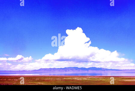 Lying in Bole city, Bortala Mongol Autonomous Prefecture, northwest China’s Xinjiang Uygur Autonomous Region, Sayram Lake wins a fame of “The last tea Stock Photo