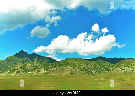 Lying in Bole city, Bortala Mongol Autonomous Prefecture, northwest China’s Xinjiang Uygur Autonomous Region, Sayram Lake wins a fame of “The last tea Stock Photo