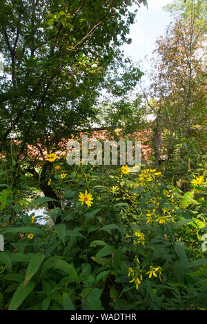 Hune Covered Bridge, Ohio Stock Photo