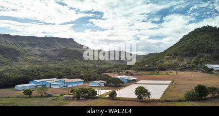 Panorama of dry coffee farm aerial drone view on bright sunny day Stock Photo