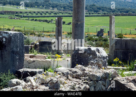 Volubilis Morocco, view over ruins to fields in distance Stock Photo