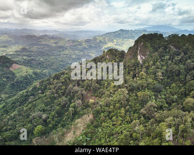 Coffee plantation field on high mountain aerial drone view Stock Photo