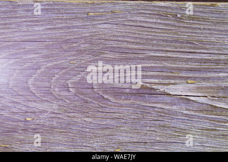 Old textured board with cracks, toned violet. Useful natural background. Stock Photo