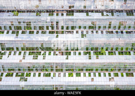 frame greenhouses without glass. aerial view over the abandoned greenhouses Stock Photo