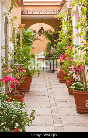 A beautiful Spanish colonial style garden courtyard, with bougainvillea flowers and plants in terracotta pots, Oaxaca City, Oaxaca, Mexico Stock Photo