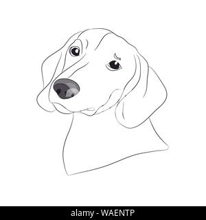 dog portrait ines, dachshund, lines, vector, white background Stock Vector