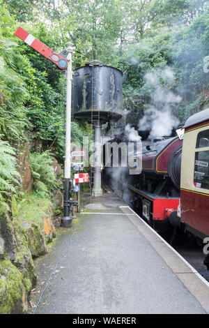 Victor Steam locomotive filling with water at Haverthwaite Station on the Lakeside and Haverthwaite Heritage Railway near Ulverston, Cumbria, UK Stock Photo