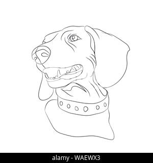 portrait of a dog, dachshund, line, vector, white background Stock Vector