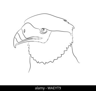 vector illustration of portrait of eagle, drawing by lines, vector, white background Stock Vector