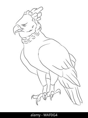 eagle sits drawing lines, vector, white background Stock Vector