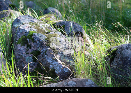 Granite. Rocks with moss. Forest. Large stones on green grass. Moss on a rock face. Relief and texture of stone with patterns. Stone natural Stock Photo