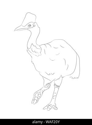 bird dinosaur drawing lines, vector, white background Stock Vector