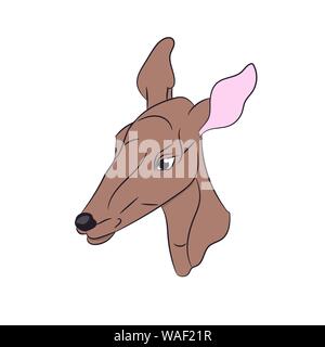 deer female color, vector, white background Stock Vector