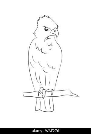 eagle sits drawing lines, vector, white background Stock Vector