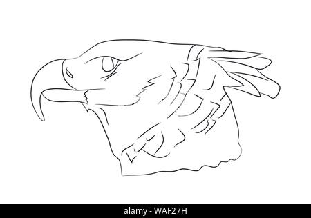 vector illustration of portrait of eagle, drawing by lines, vector, white background Stock Vector