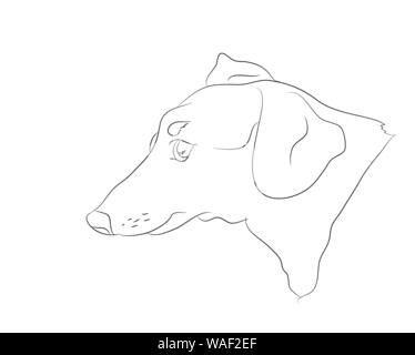 Vector illustration of a portrait of a cartoon dachshund drawing with lines Stock Vector