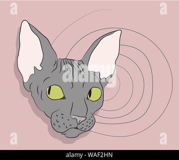 vector illustration, portrait of a cat, bright background, vector Stock Vector