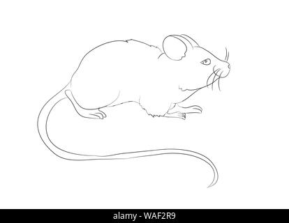 mouse stands drawing by lines, vector, white background Stock Vector