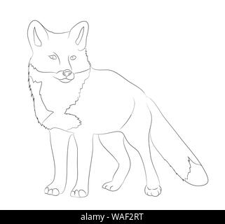 fox sitting drawing  lines, vector, white background Stock Vector