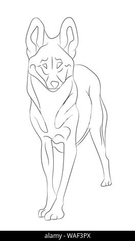wolf lines, vector, white background Stock Vector