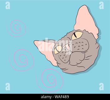 vector illustration, portrait of a cat, bright background, vector Stock Vector