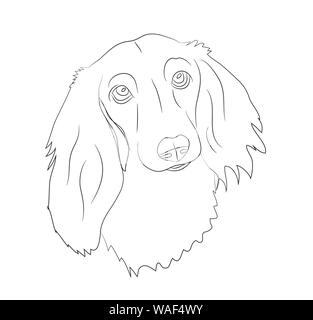 portrait of a dog, dachshund, line, vector, white background Stock Vector