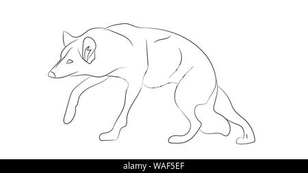 wolf lines, vector, white background Stock Vector