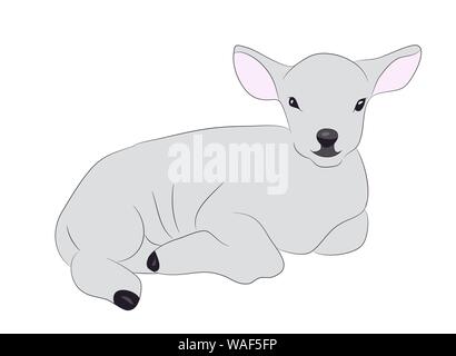 lamb is drawing color, vector, white background Stock Vector
