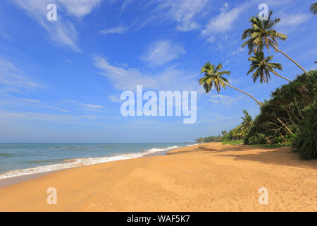 Wild tropical beach and ocean in Sri Lanka, Bentota beach Stock Photo