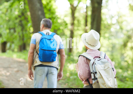 Rear view of mature couple of hikers with backpacks walking along the footpath in the forest in summer day Stock Photo