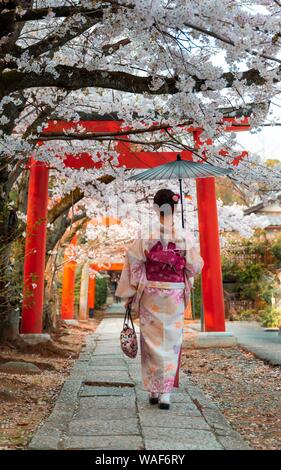 Japanese woman with kimono under blossoming cherry trees, Torii gate at Takenaka-Inari-Jinja shrine, Kyoto, Japan Stock Photo