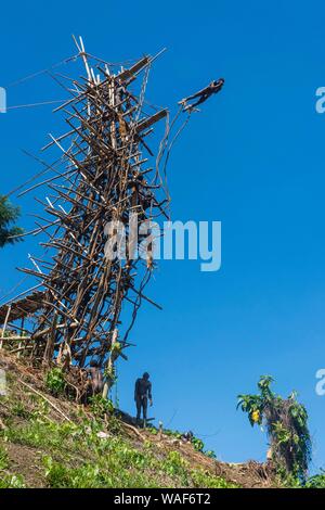 Man jumping from a bamboo tower, Pentecost land diving, Pentecost, Vanuatu Stock Photo