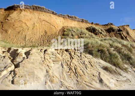Red cliff, impressive steep coast near Kampen, Sylt, North Frisian Island, North Sea, North Frisia, Schleswig-Holstein, Germany Stock Photo