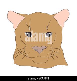portrait of a cougar, vector, white background Stock Vector