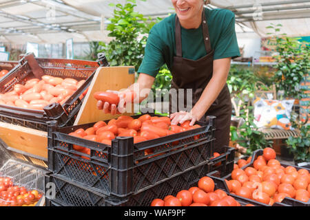 Gardener selling tomatoes and vegetables Stock Photo