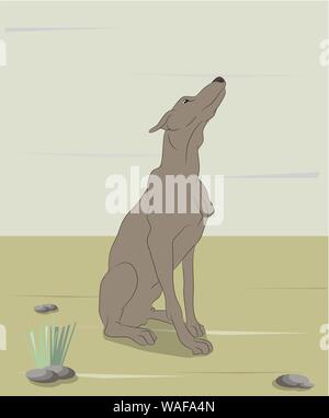dog sitting outdoors, vector, dog sitting, outdoors, vector Stock Vector
