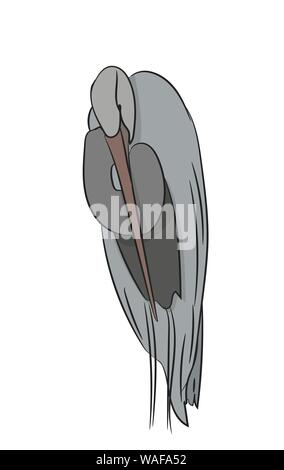 heron color, vector, white background Stock Vector