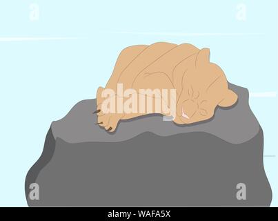 vector illustration of a lioness sleeping, drawing color, vector,  lying on a stone in nature Stock Vector