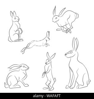 hare lines, vector, white background Stock Vector