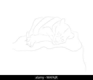 vector illustration of a lioness sleeping, drawing lines, vector, white background Stock Vector