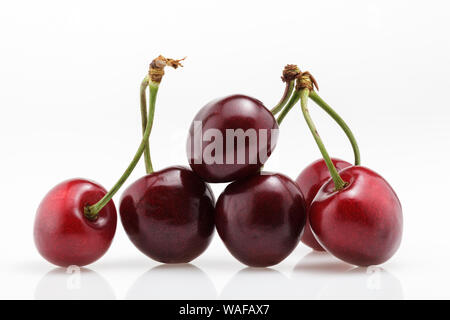 Five juicy red cherries on white background Stock Photo