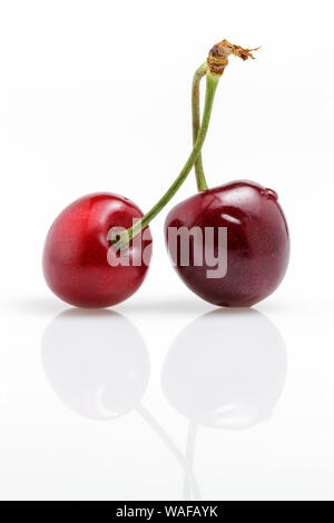 Two ripe red cherries with green stems touching on a soft peach ...