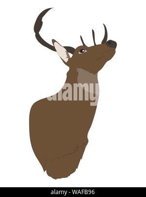 vector illustration deer portrait,color drawing, vector, white background Stock Vector