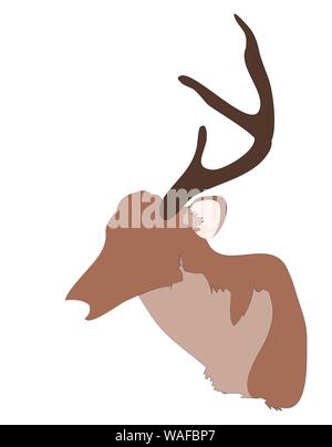 vector illustration deer portrait,color drawing, vector, white background Stock Vector